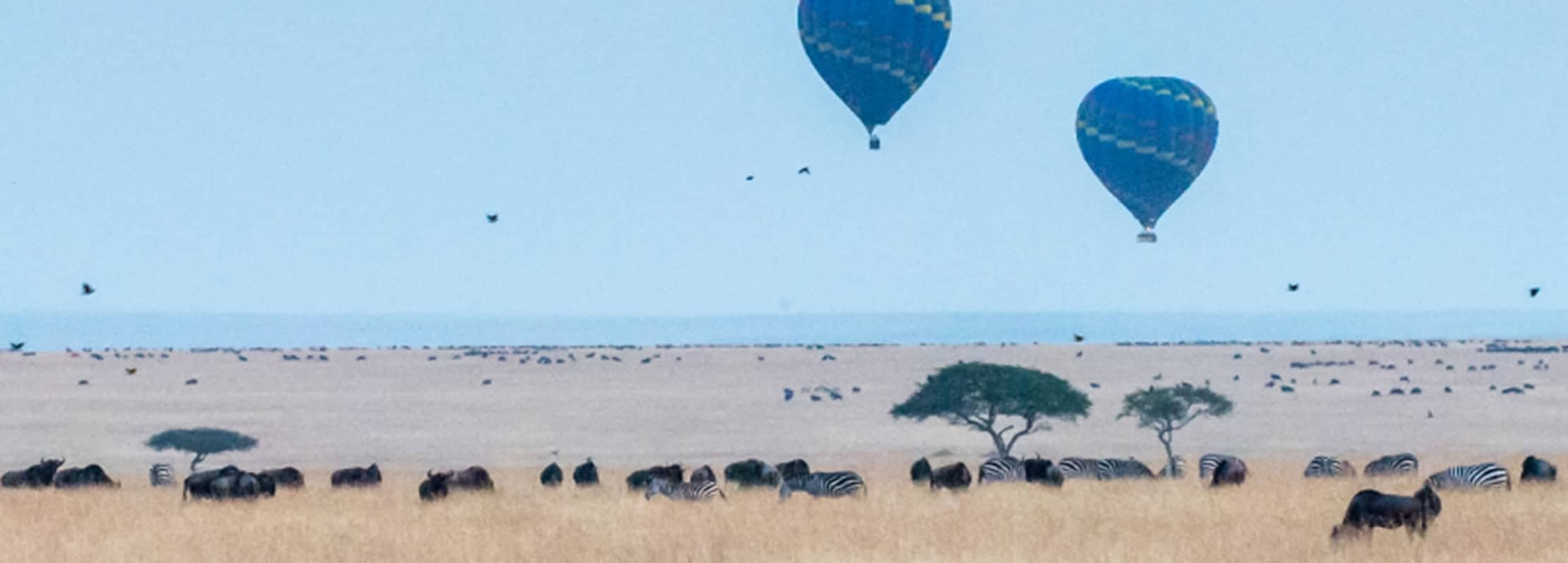 Masai Mara Kenya 2